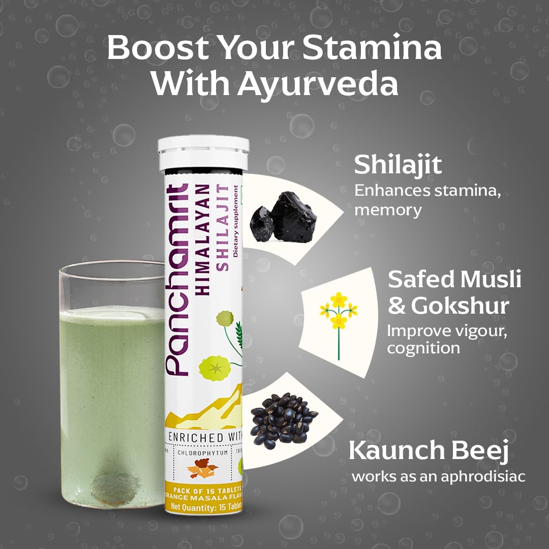 Panchamrit Himalayan Shilajit 30 Tablets
