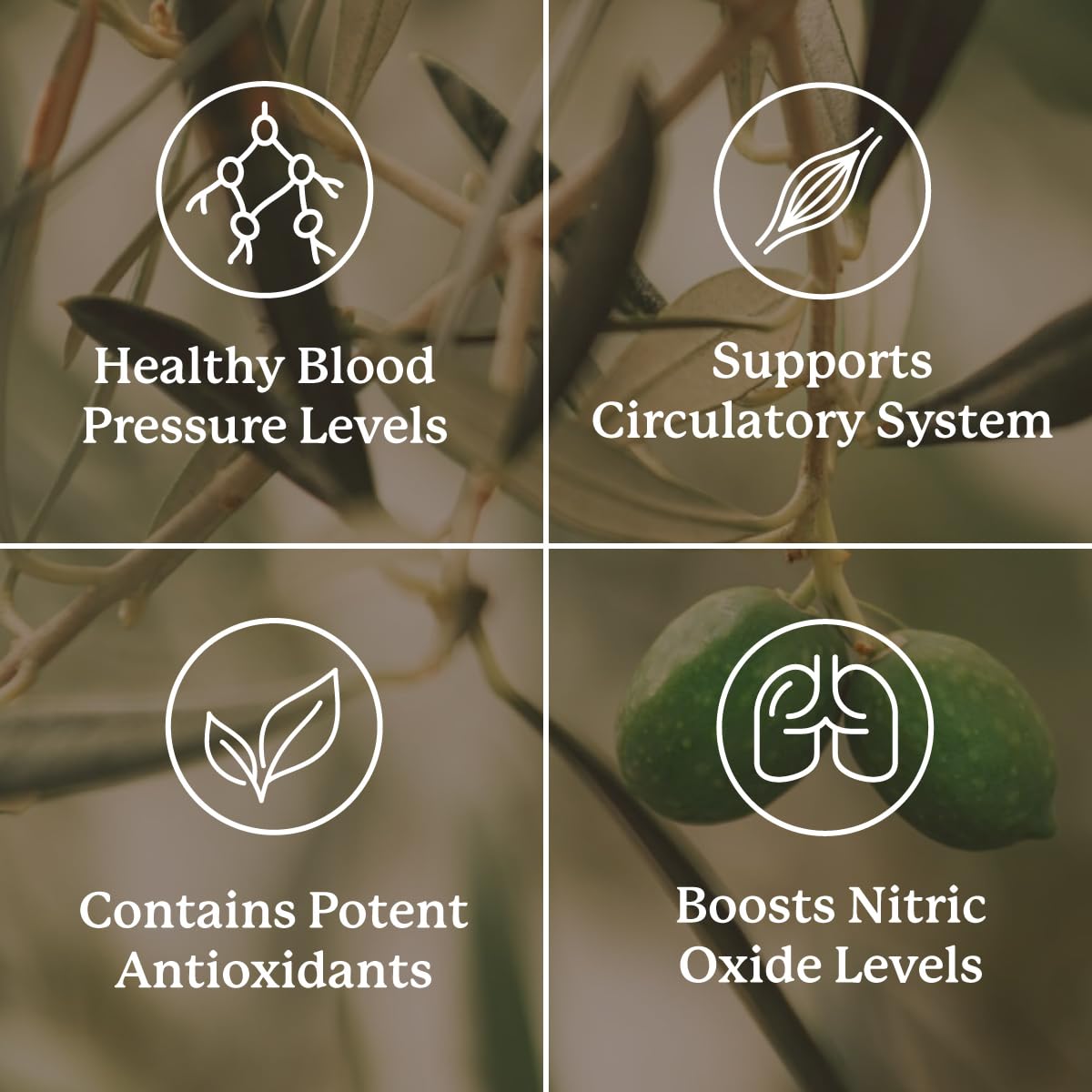Nature's Sunshine Blood Pressurex Capsules 60