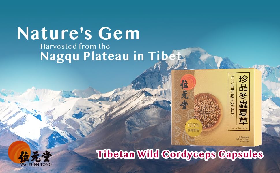 Wai Yuen Tong 100% Wild Tibetan Cordyceps Capsules, Ground from Raw Cordyceps, Energy, Lung & Immune Support, 24 Capsules