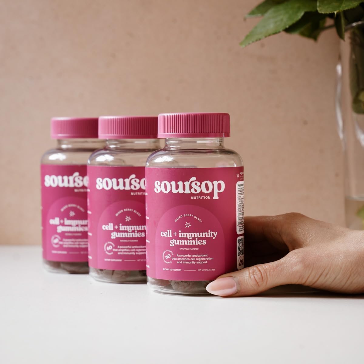 Soursop Nutrition Soursop Graviola Gummies, Sugar Free with Vitamin C & Zinc, Digestive & Immune Support, Antioxidants, Made from Soursop Leaves, Berry 6-Pack