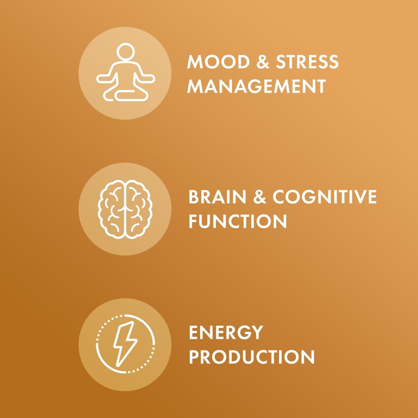 Dr. Mercola Organic Maca 60 Capsules
