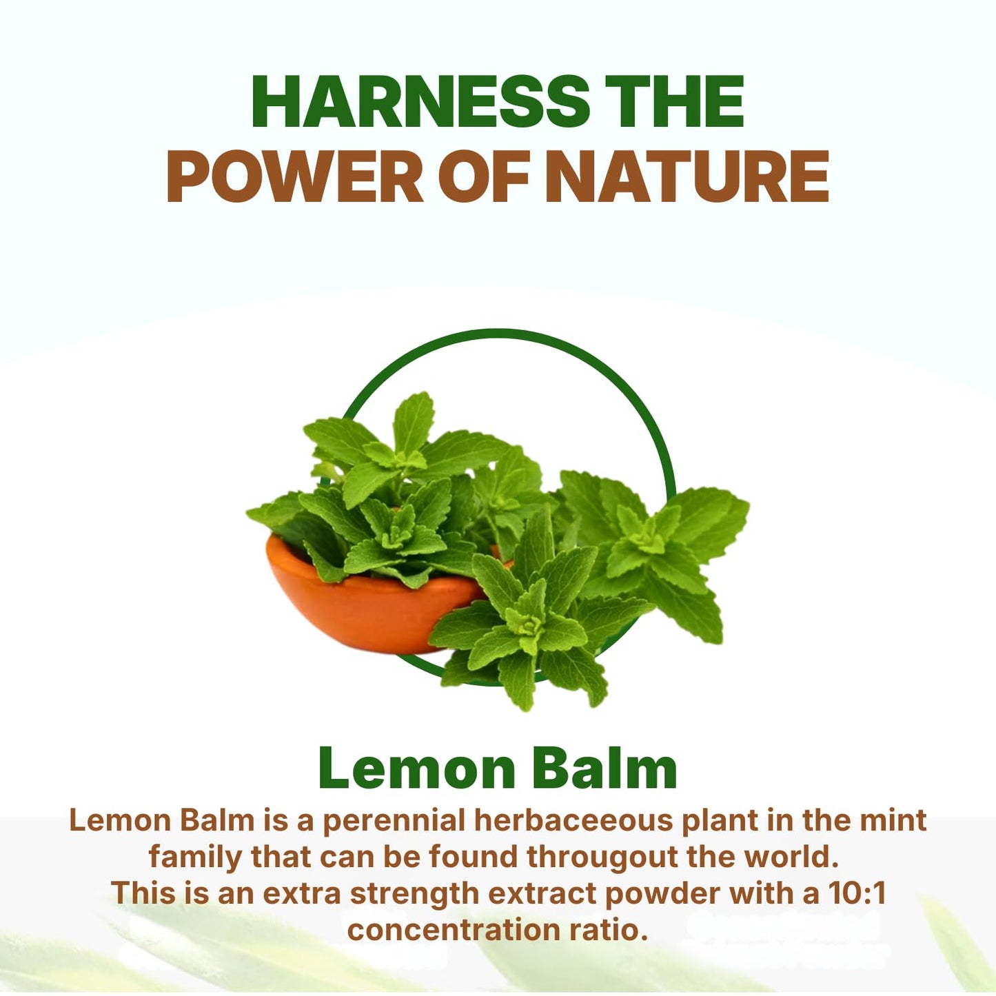 Go Nutra Lemon Balm Extract Powder 8 Ounce