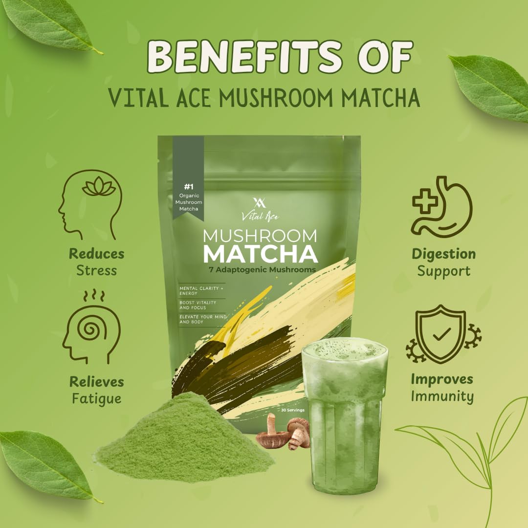 Vital Ace Mushroom Matcha Powder 6.3 oz
