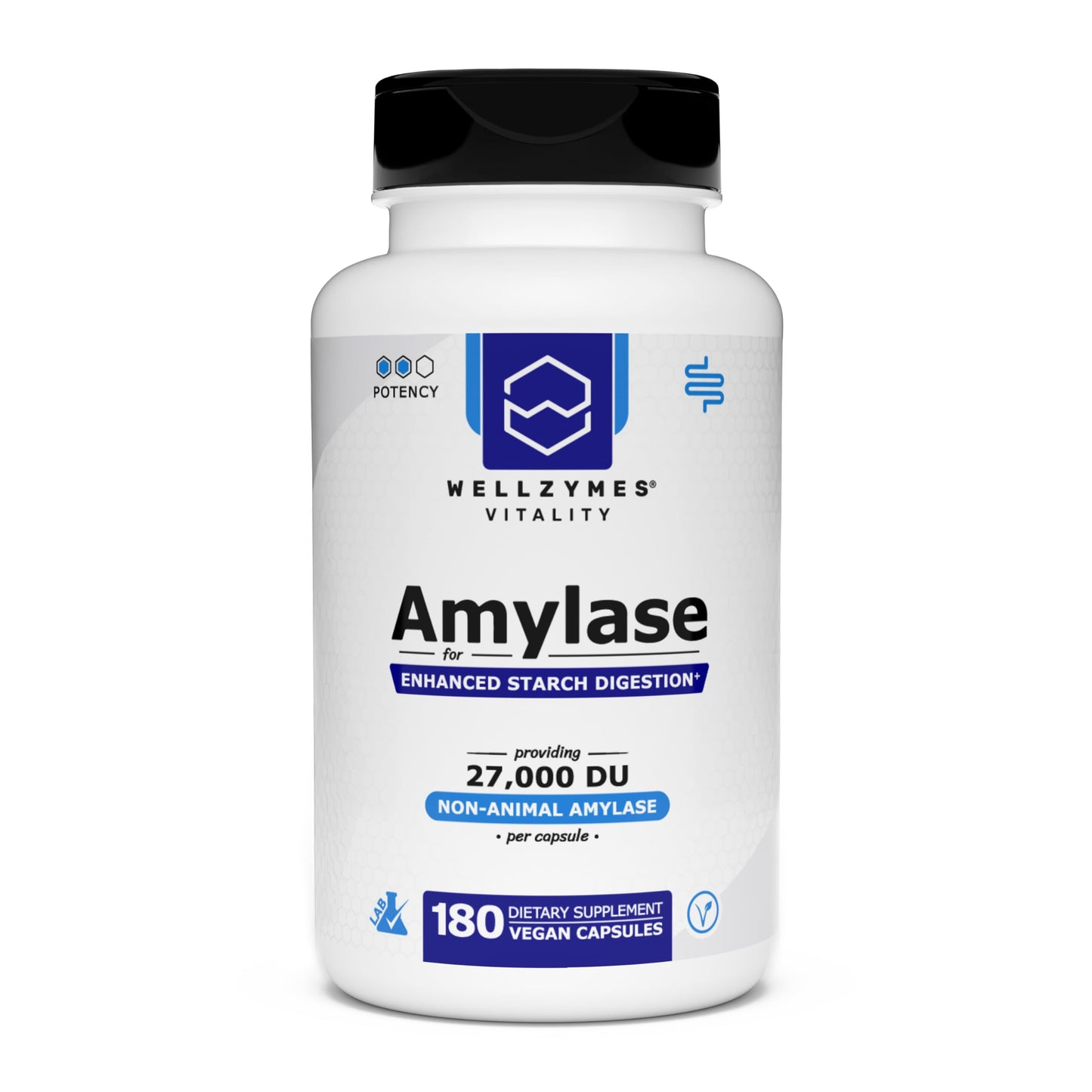 Wellzymes Amylase for Enhanced Starch Digestion Capsule, 27,000 DU Amylase per Capsule, 180 Capsules