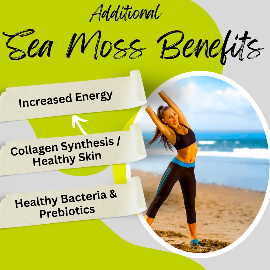 Advanced Bionetix Organic Irish Sea Moss Capsules 120 Count
