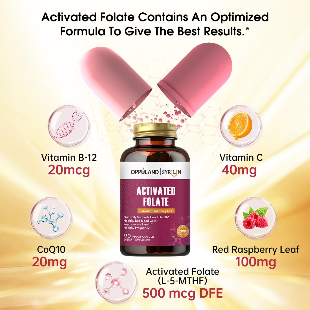 oppuland Activated Folate-L 5-MTHF DFE Supplement - Methylfolate B9 MTHF with Vitamin B12, CoQ10, & Red Raspberry - Methylated L-Methylfolate for Men and Women - 500 mcg, 90 Capsules