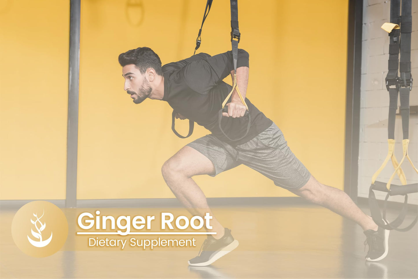 PURE ORIGINAL INGREDIENTS Ginger Root Capsules 100