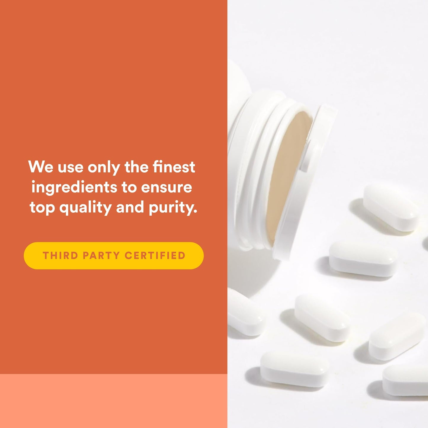 Natural Factors MSM 1000 mg Capsule, 90 Capsules