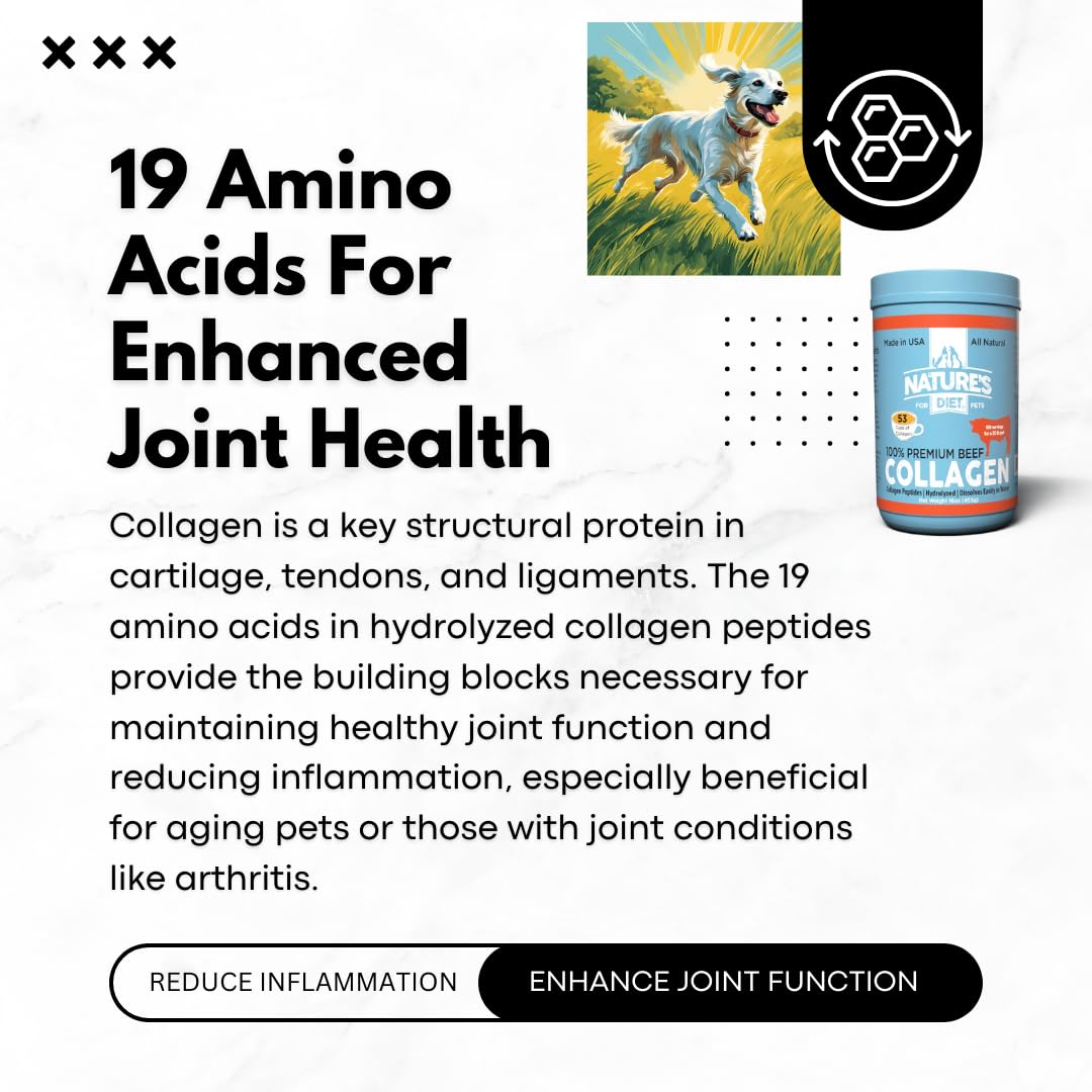 Nature's Diet Beef Collagen Peptides Type 1 for Dogs & Cats Powder 16