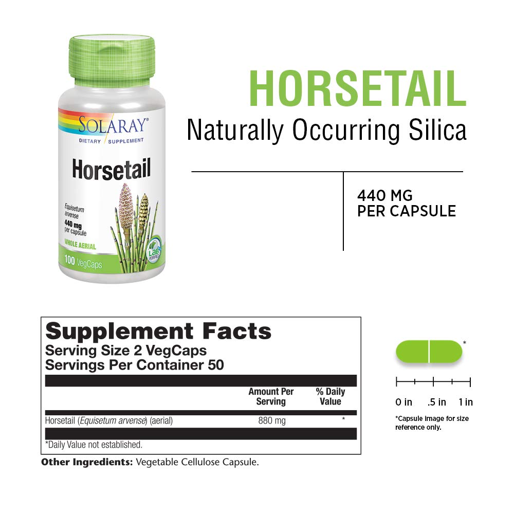 Solaray Horsetail 880 mg 100 Capsules