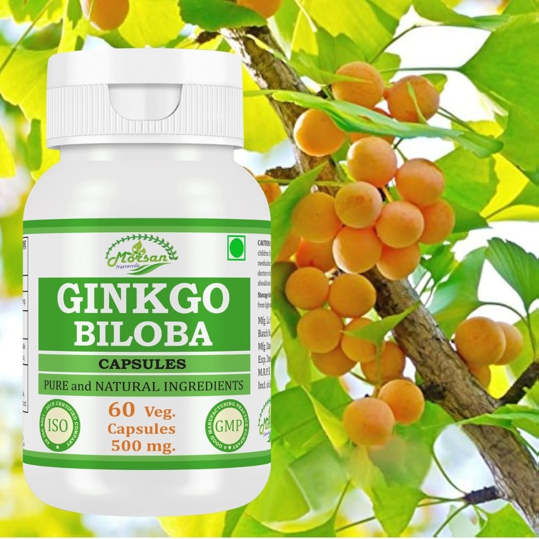 Morsan Nutraveda Ginkgo Biloba Capsules 500 mg, 240 Count