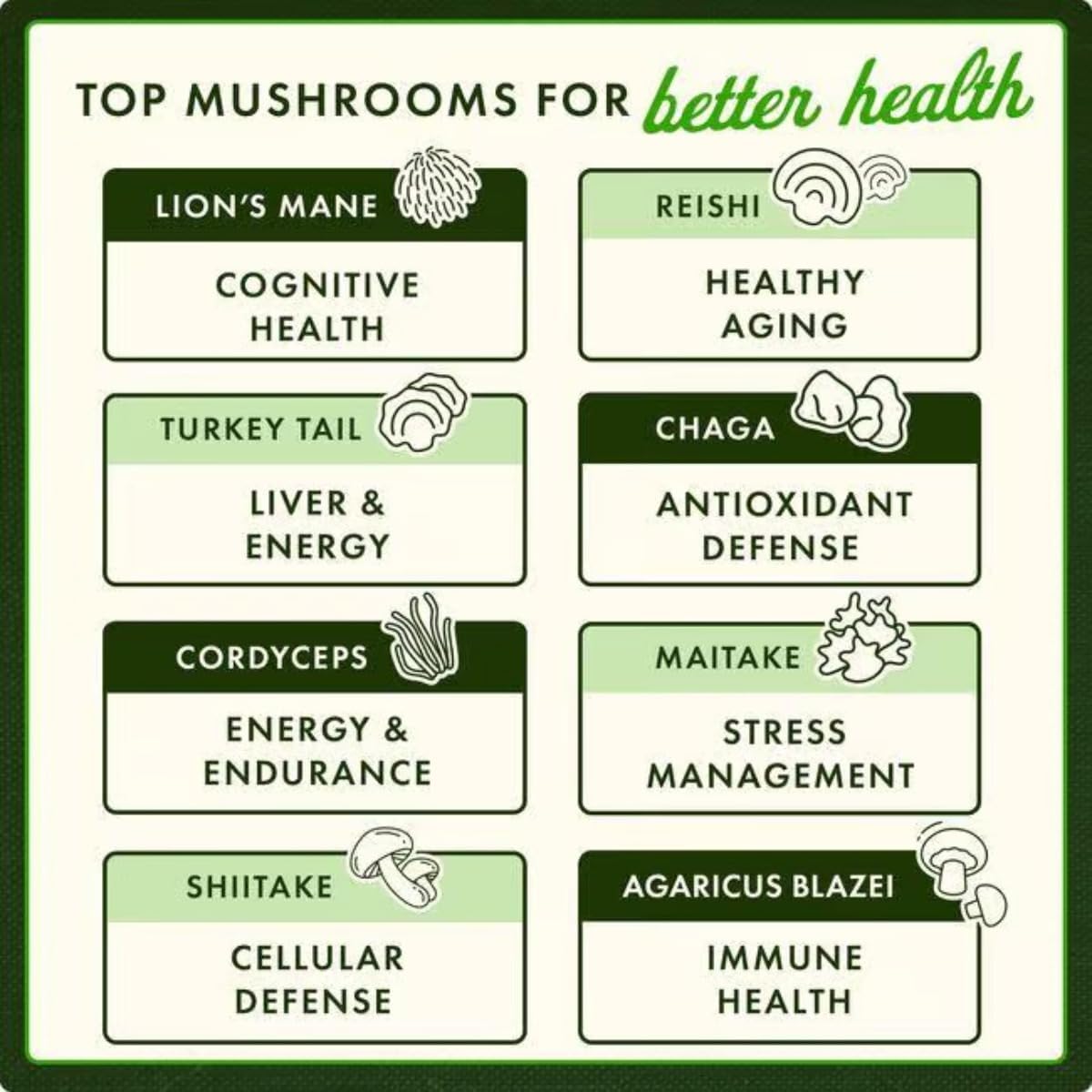 Swanson Turkey Tail Mushroom Capsules 120 Count