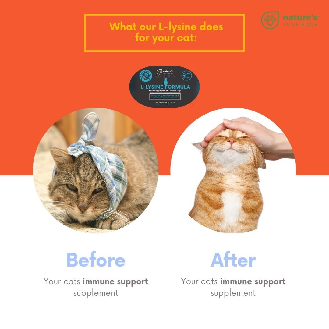 Nature's Pure Edge L-Lysine Powder for Cats and Kittens, 125