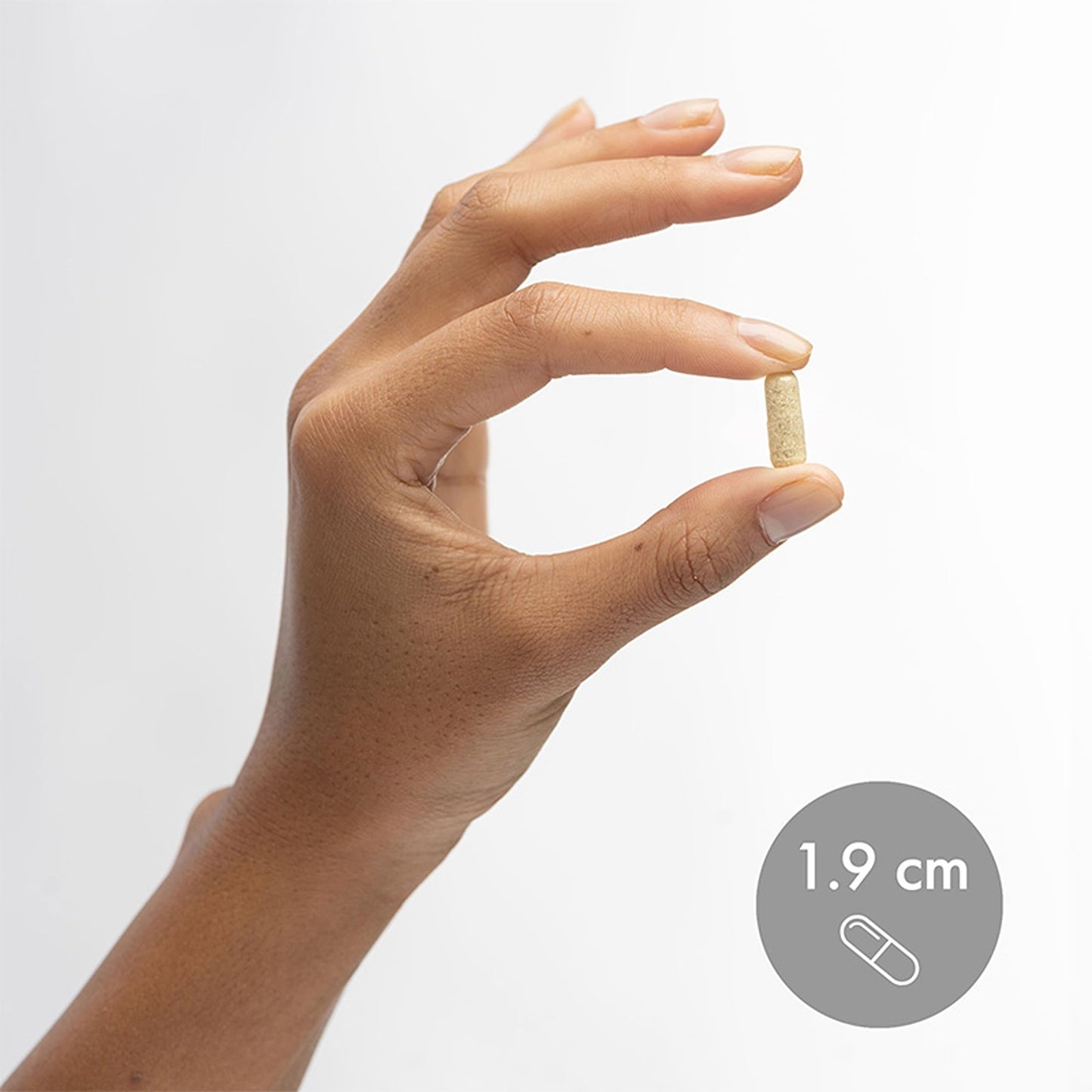 Dr. Mercola L-Theanine Plus GABA Capsule 180 Capsules