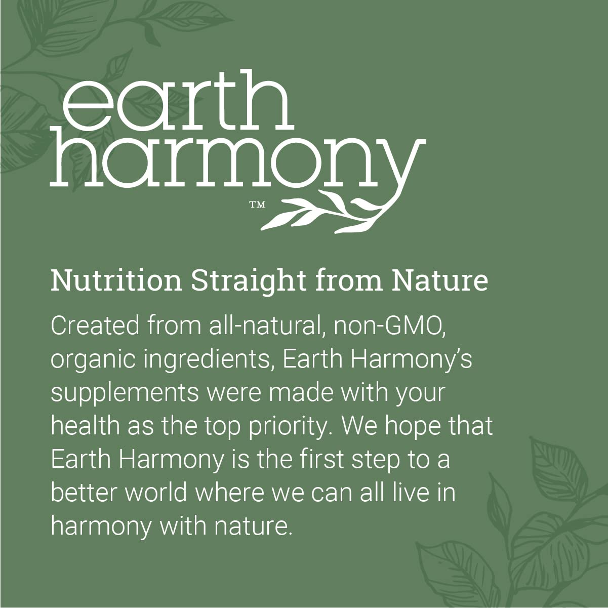 Earth Harmony Chelated Magnesium Glycinate 500mg Capsule, 120 Capsules