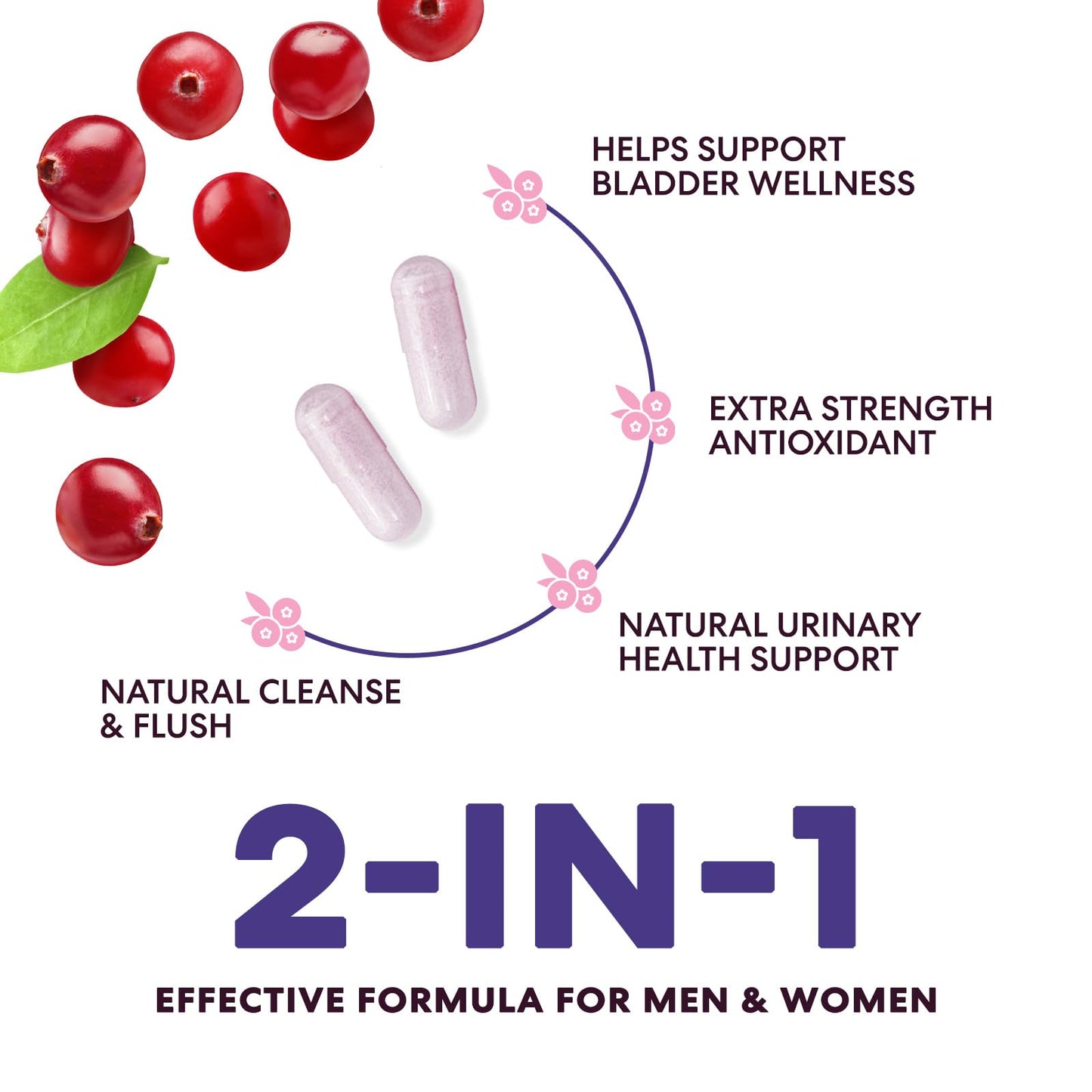 Health Nutrition Naturals D-Mannose Supplement - 1,300mg Organic D Mannose Per Serving with Organic Cranberry Extract, 60 Capsules