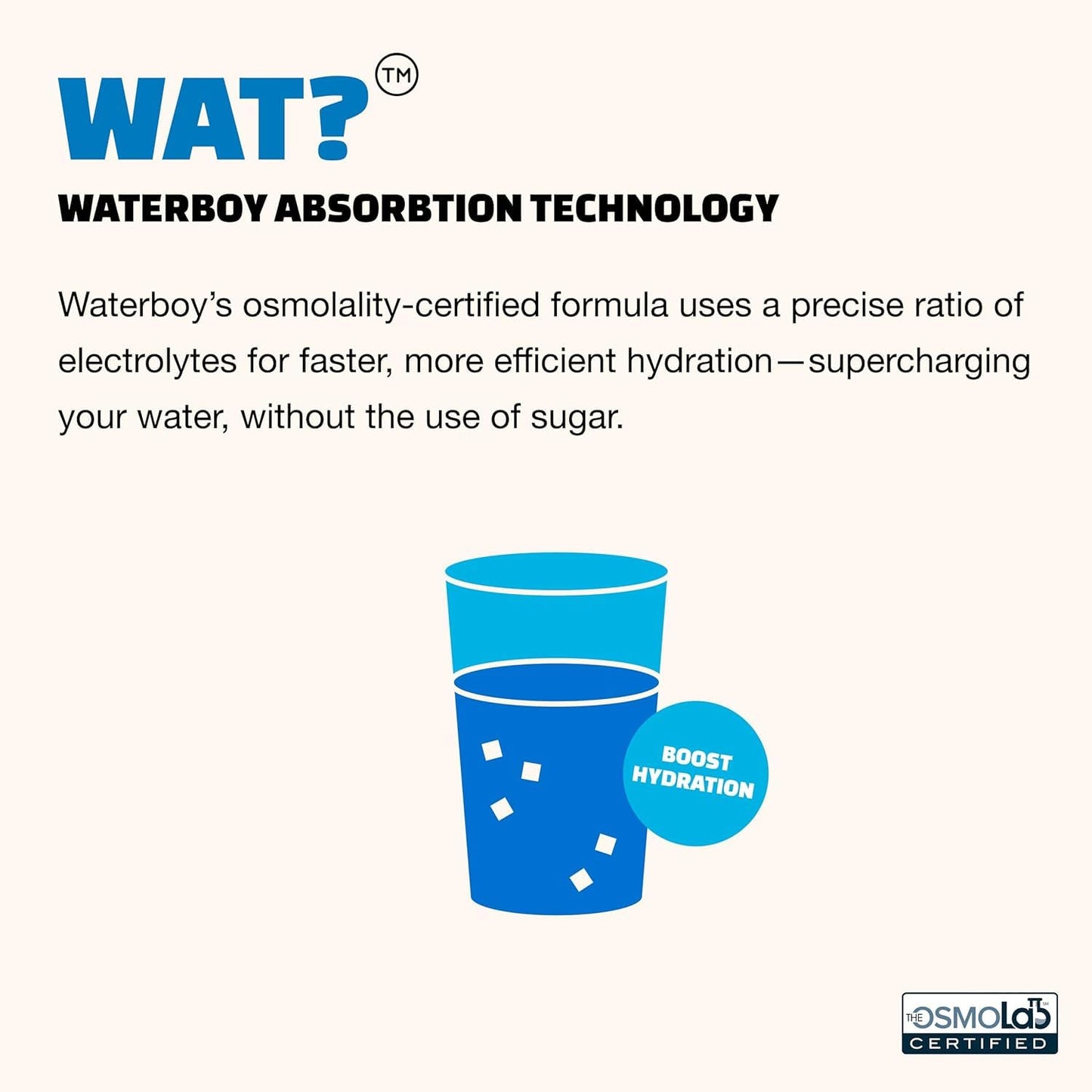 Waterboy Weekend Recovery Sugar Free Electrolytes Variety Pack Powder, 3 Ounce