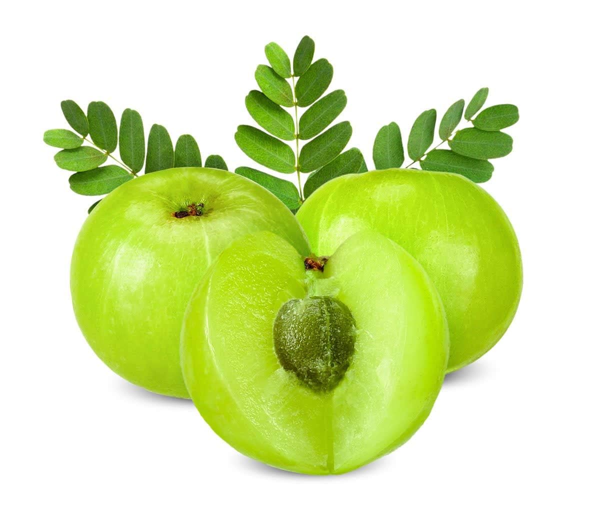 Dr. HERBALIST Amla Powder 7.1 oz