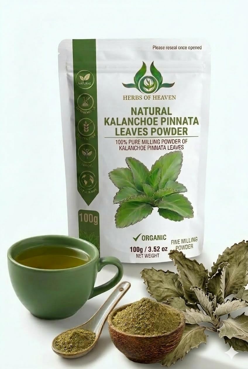 HERBS OF HEAVEN Kalanchoe Pinnata Leaves Powder 3.5 Ounces