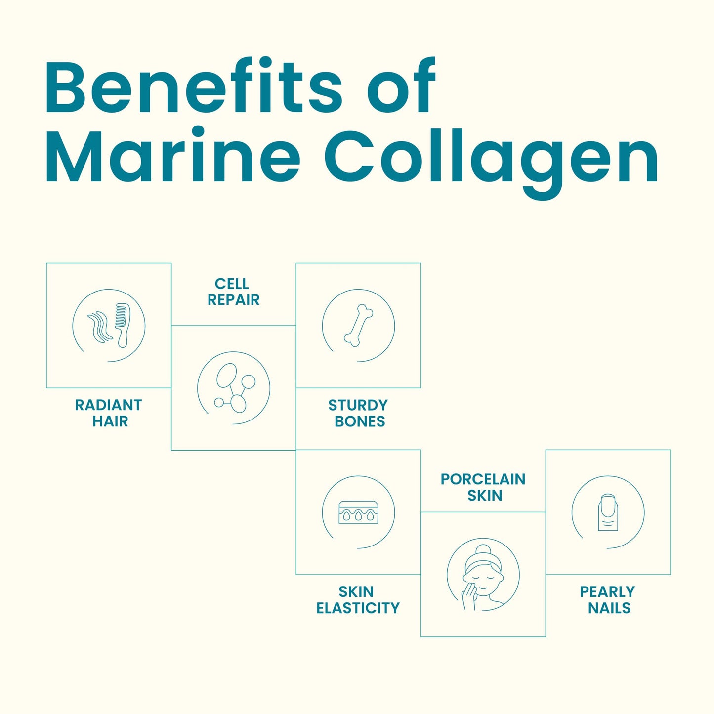 EarthNutri Wild Caught Marine Collagen Powder Pack of 30