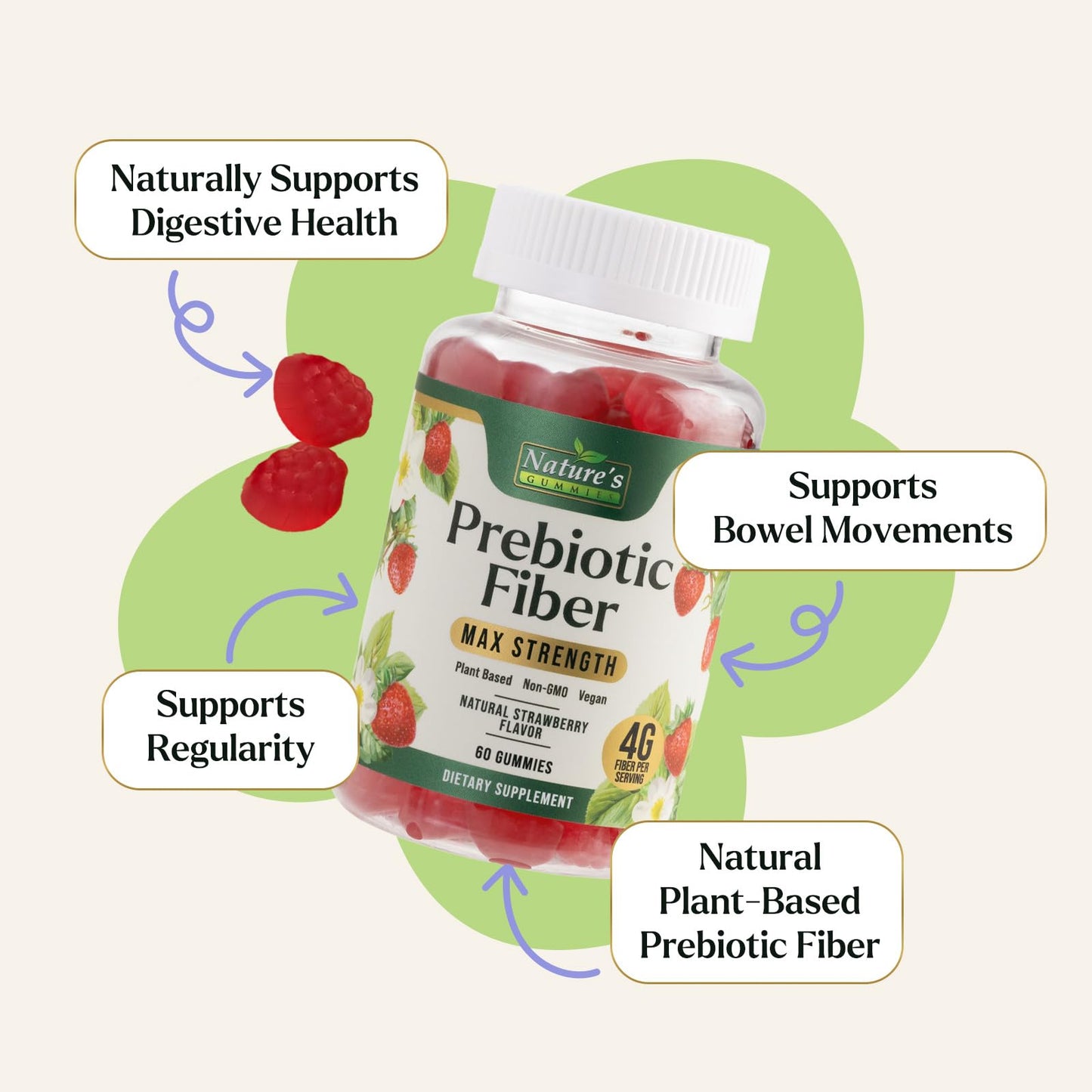 Nature's Gummies Prebiotic Fiber Gummies Gummy 60 Count