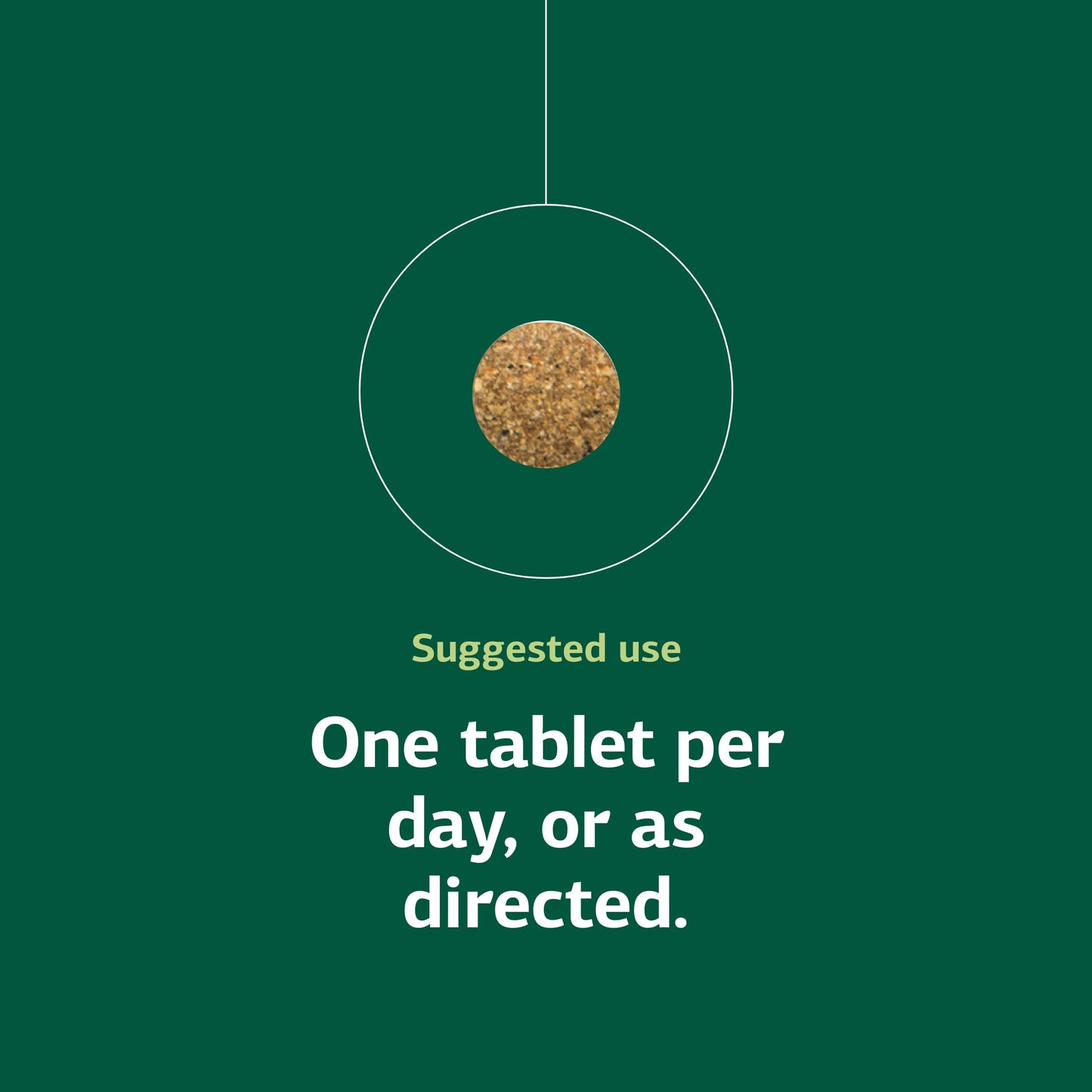 Standard Process Inc. Iodomere Tablet, 90 Count