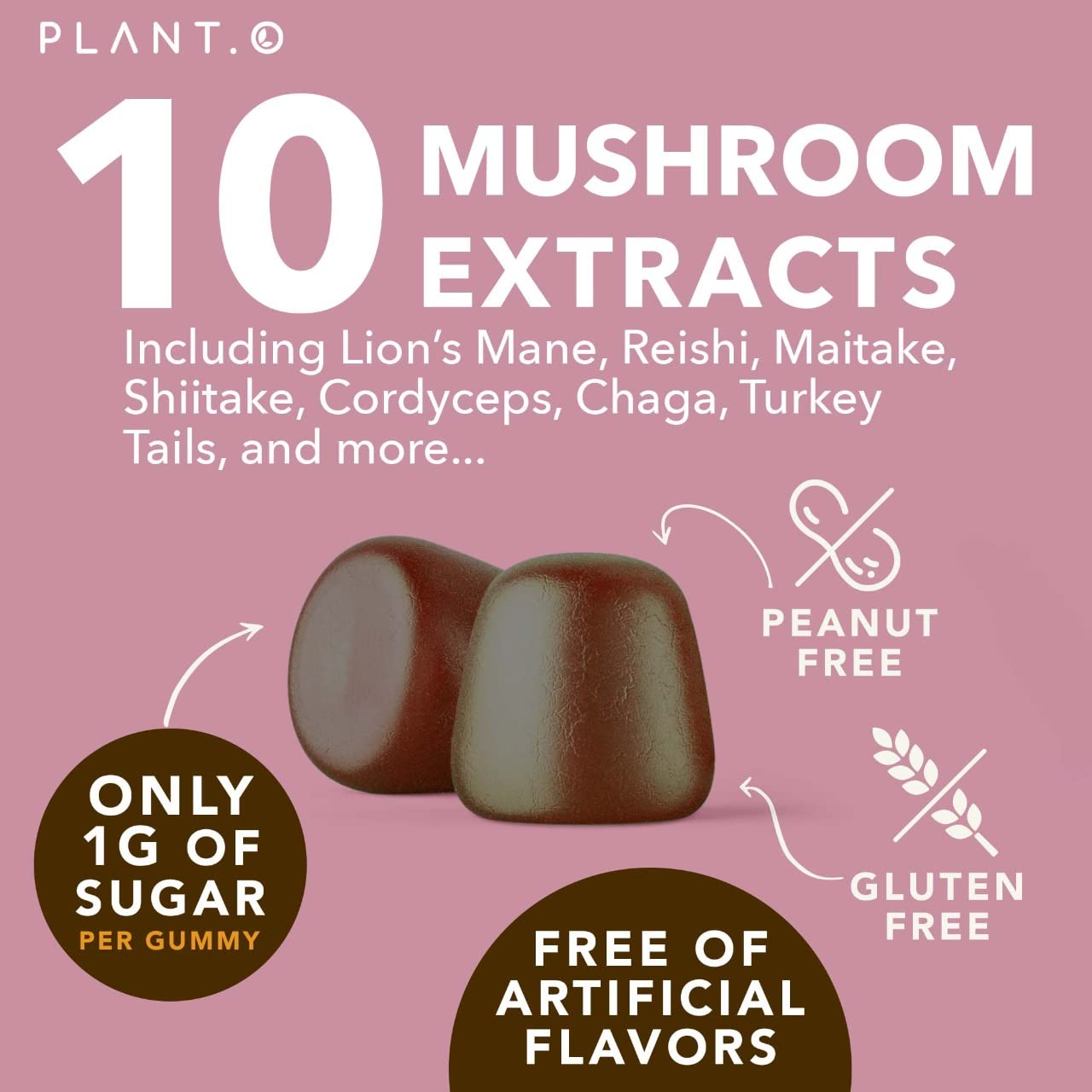 PLANT.O NUTRITION Mushroom Gummies Premium Supplement with Lion’s Mane, Reishi & Shiitake Nootropic Brain Support, Immune Support, Mood & Relaxation, 60 Gummies