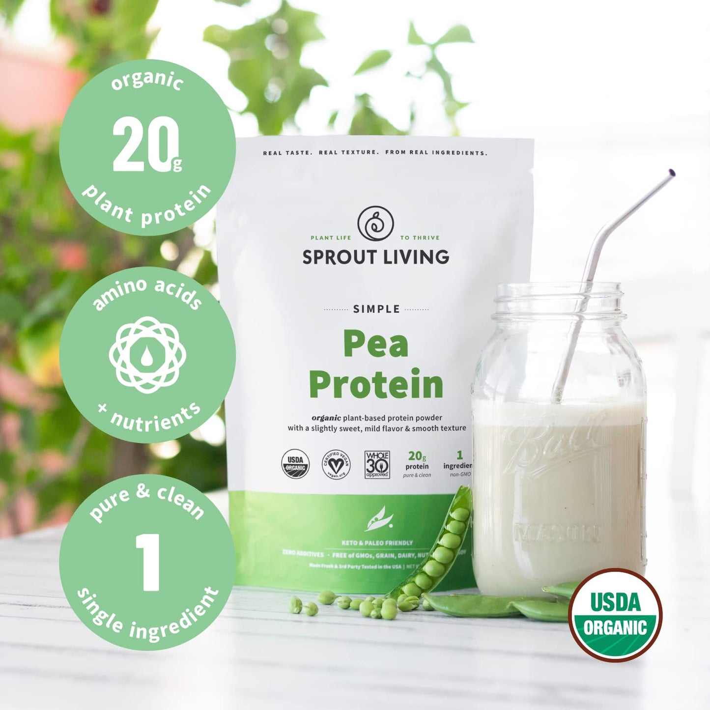 Sprout Living Organic Pea Protein Powder 32