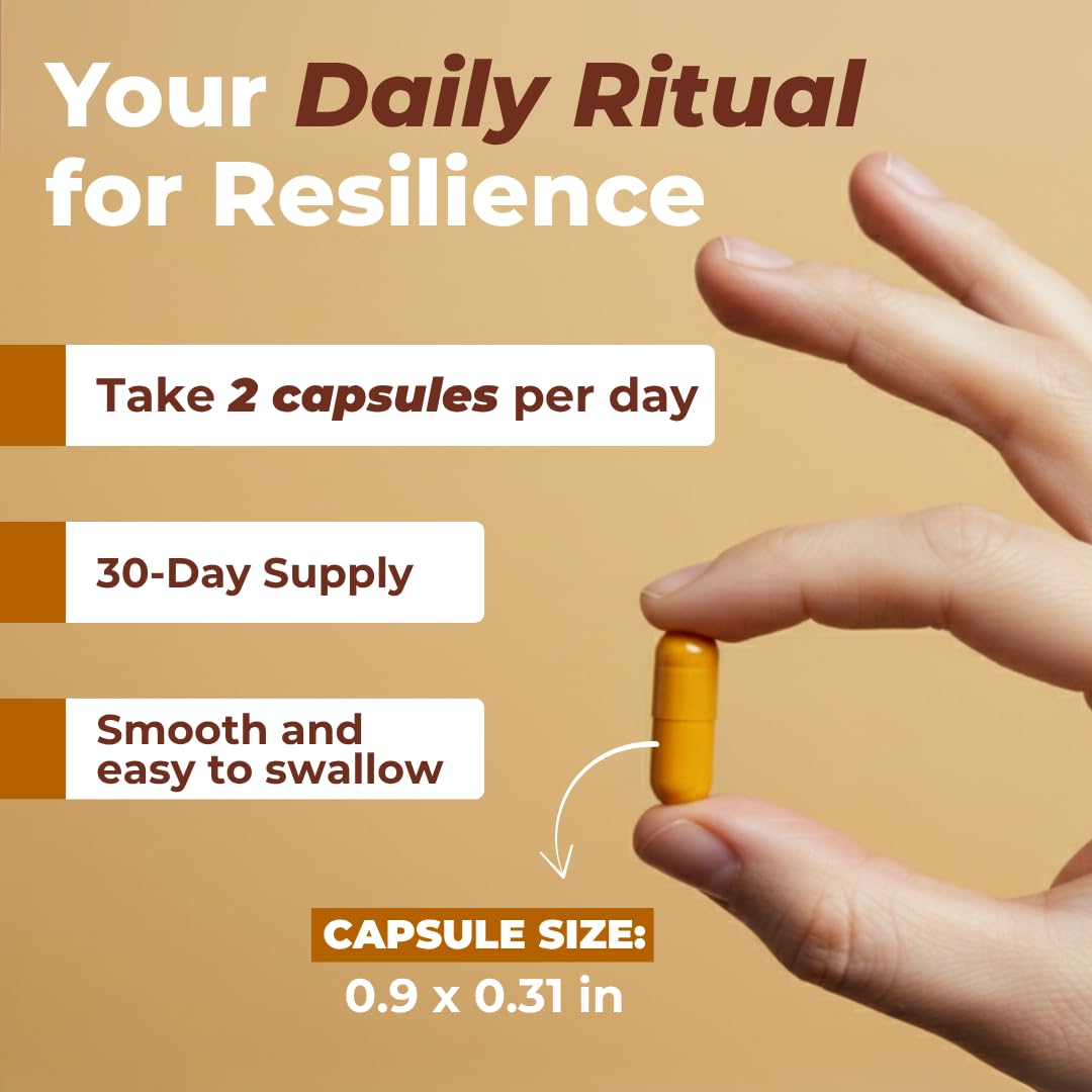 Vital Nutritive Turmeric Curcumin Supplement Capsules 60 Count