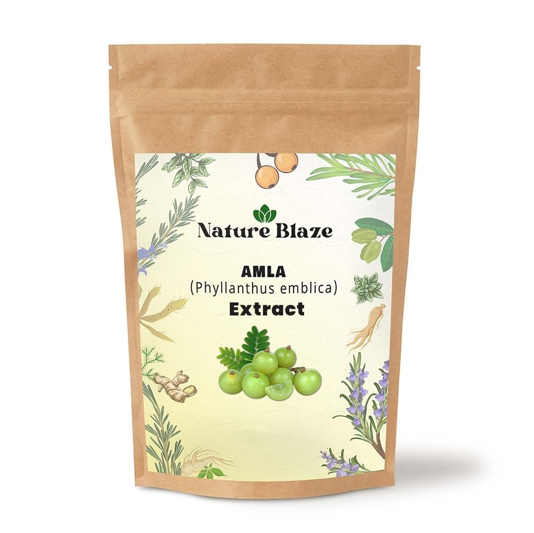 Nature Blaze Amla Extract Powder 4 Oz
