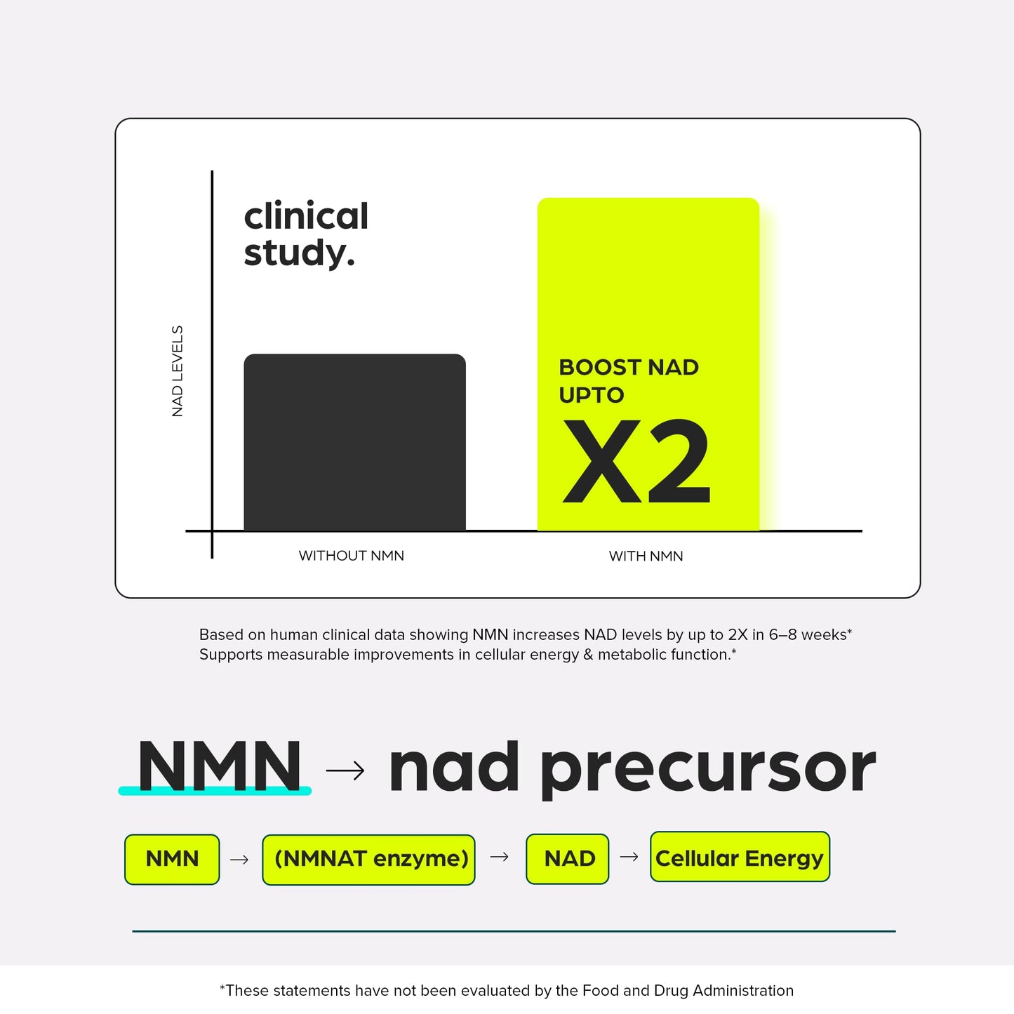 Thinbi NMN NAD+ Capsule 60 Count