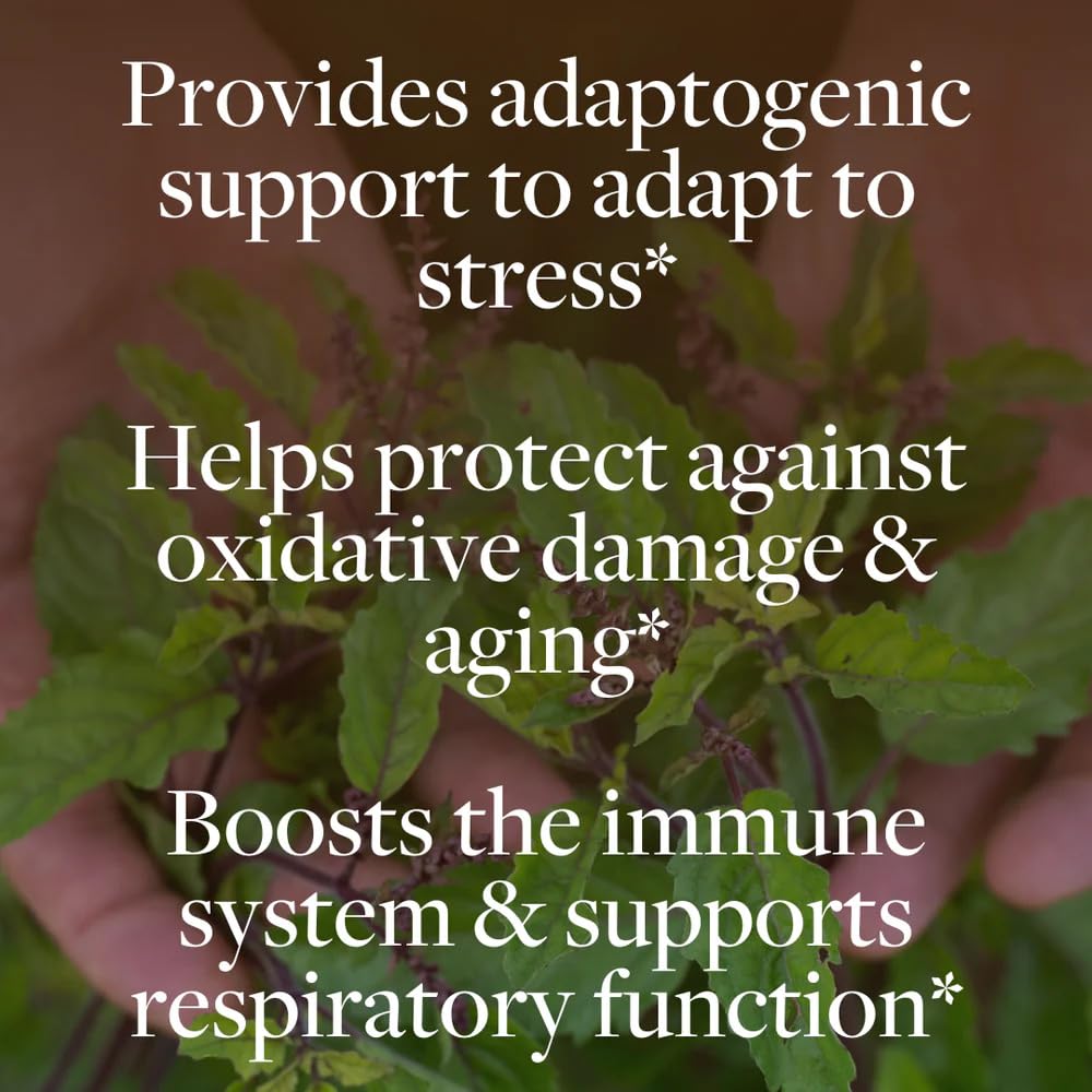 kokora Regenerative Holy Basil Capsule 60 Capsules