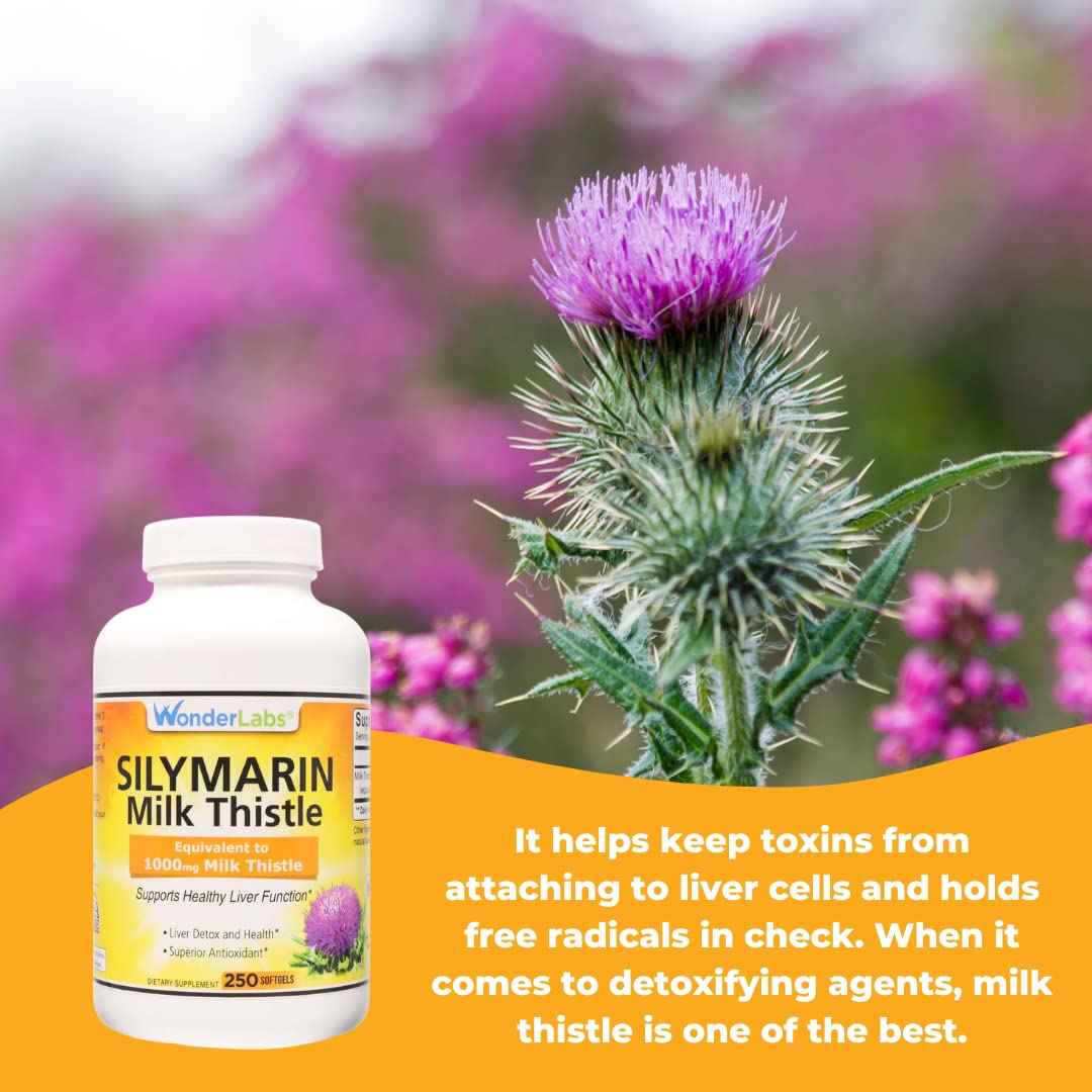 Wonder Laboratories Silymarin Milk Thistle 250 Capsules
