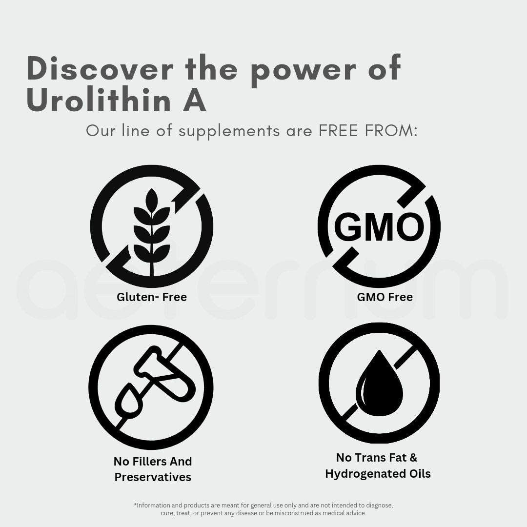 aeternum Urolithin A Supplement 500mg UA Capsule, 60 Capsules