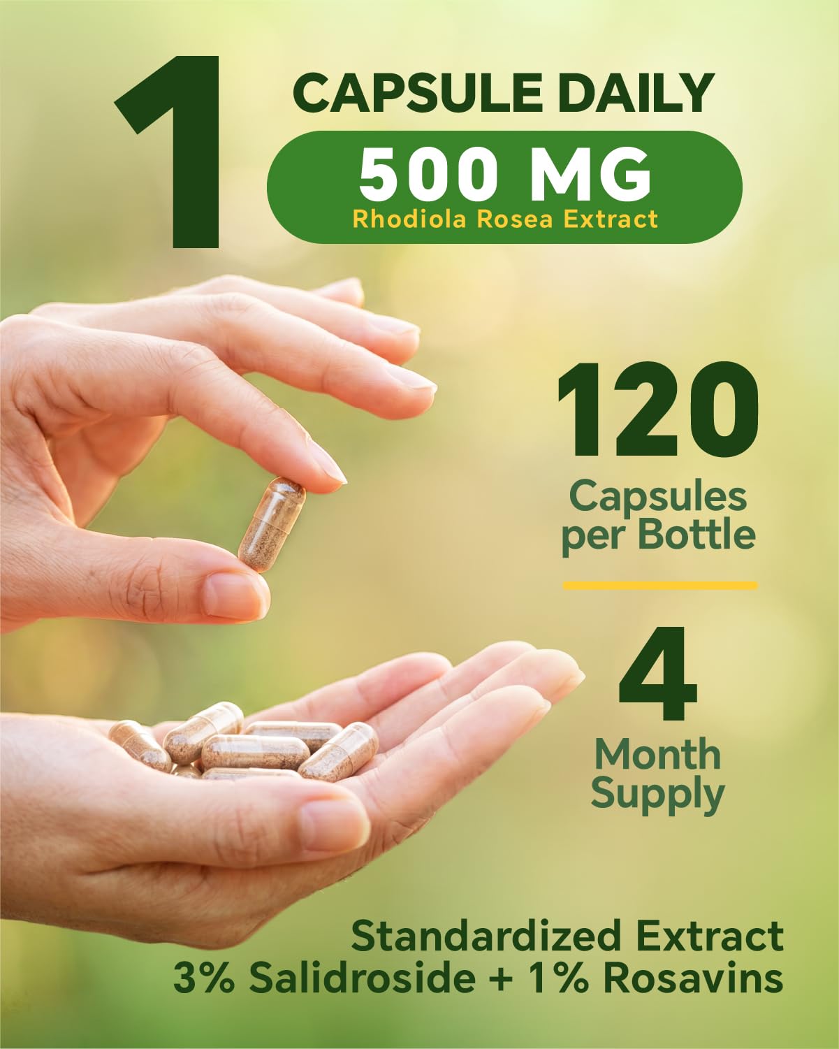 Blavenique Rhodiola Rosea Supplement 500mg Capsules, 120 Count