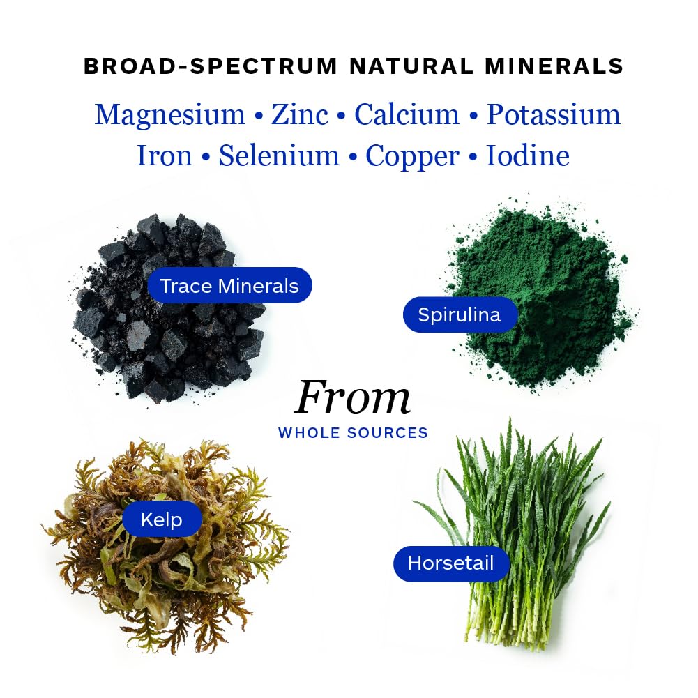 Professional Botanicals Mineral Complex 90 Vegetarian Capsules