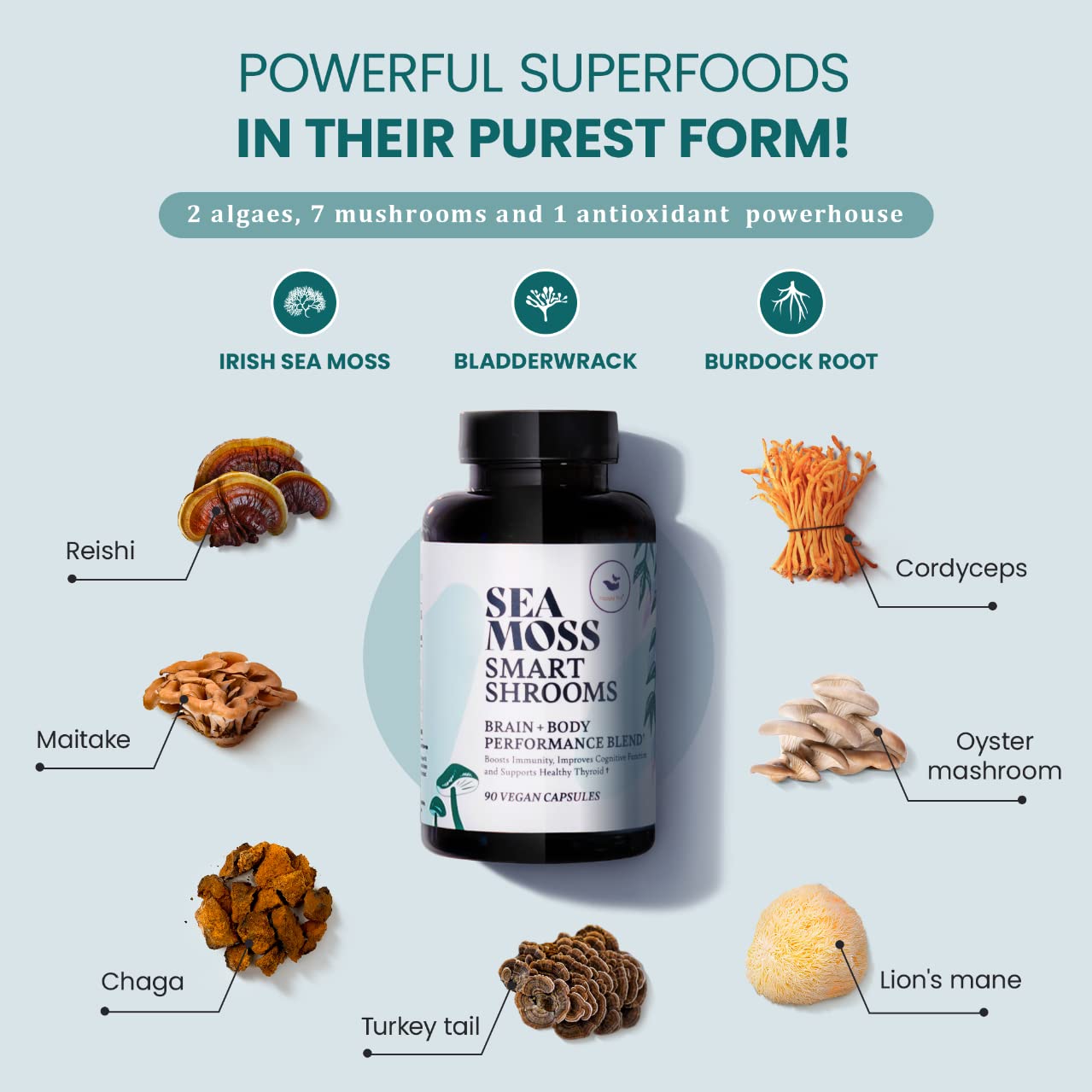 HAPPY FOX Irish Sea Moss Capsules & Mushroom Complex - Organic Seamoss with Adaptogens for Brain Health, 1500mg, 90 Vegan Capsules