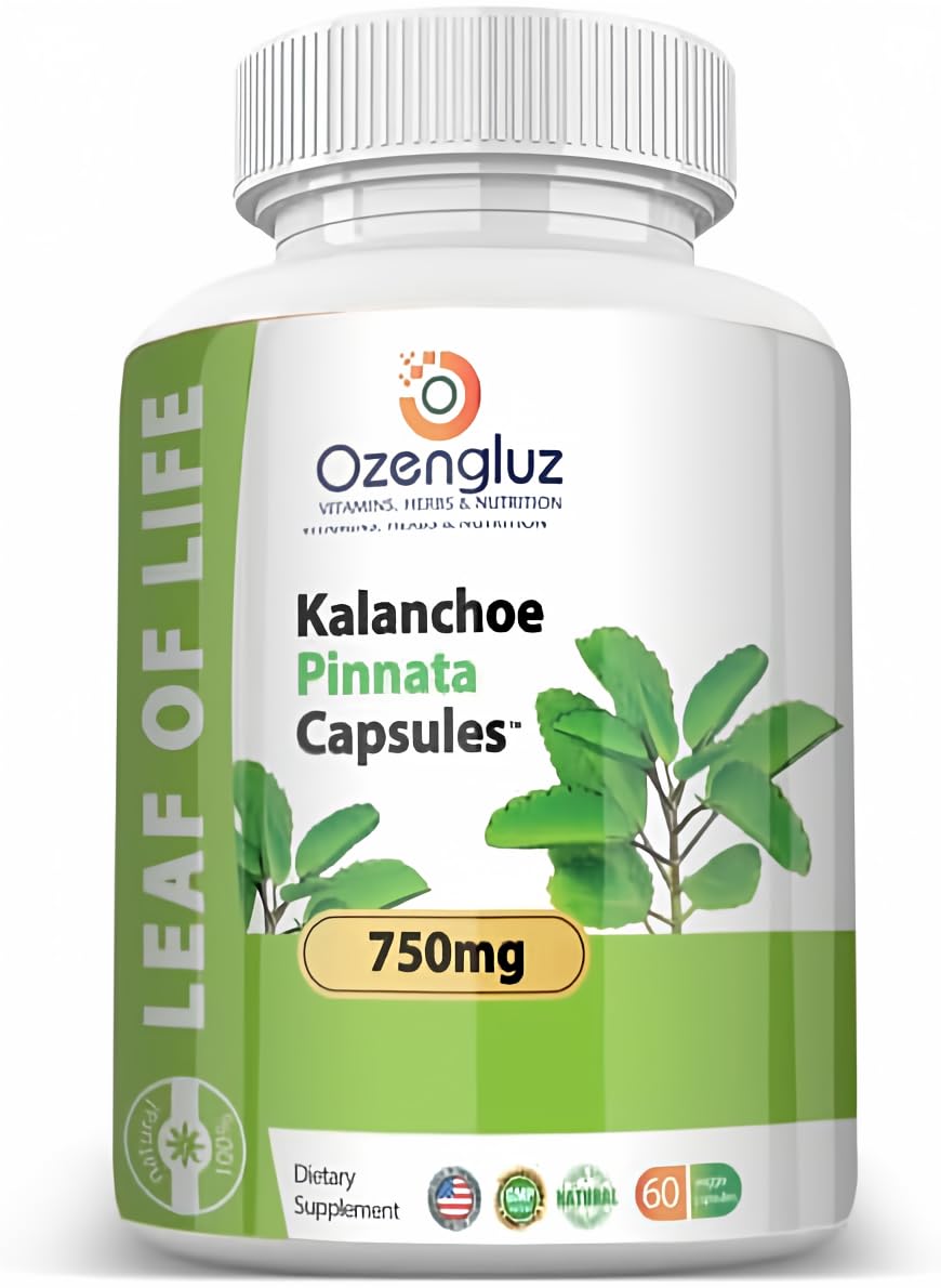 Ozengluz Kalanchoe Pinnata-Leaf of Life (Bryophyllum Pinnatum) 750 mg Capsule, 60 Count