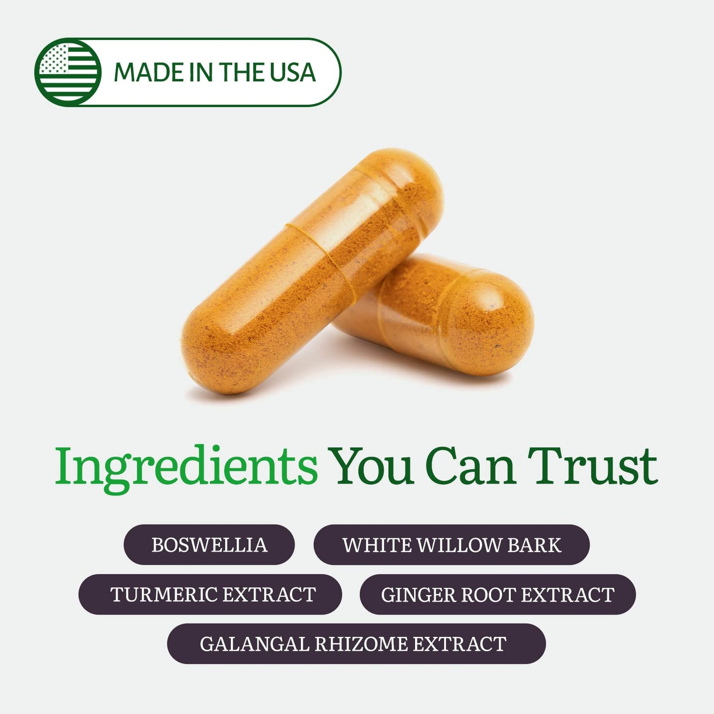 ecostream Naturals InflamEase Capsule 60 Count