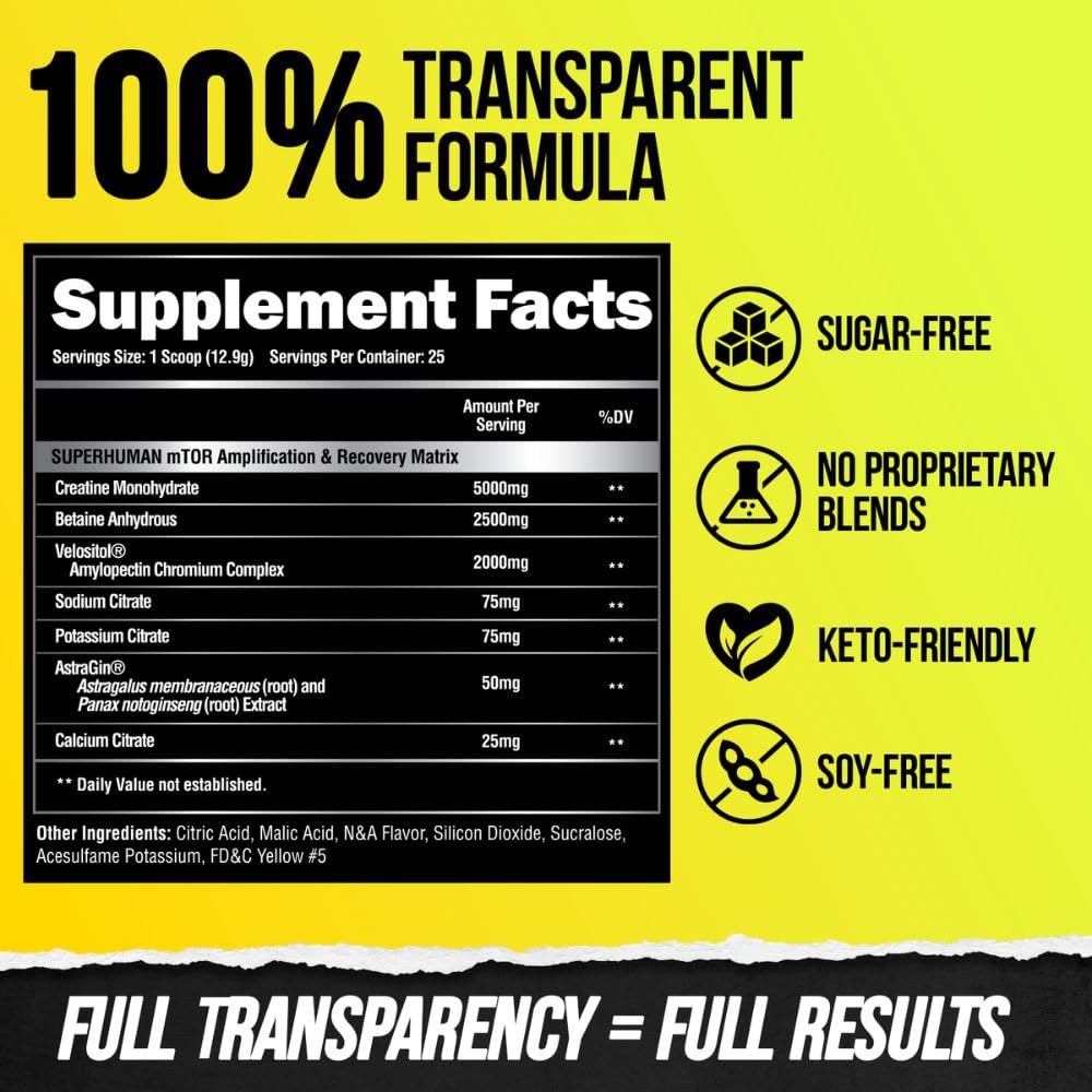 ALPHA LION Superhuman Post Workout Powder 16