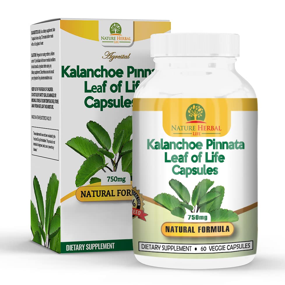 Nature Herbal Life Kalanchoe pinnata Leaf of Life Cathedral Bells 750 mg Vegetarian Capsules, 180 Count