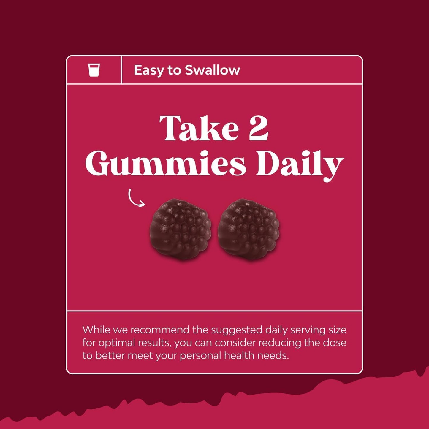 Natures Craft Elderberry Vitamin C and Zinc Gummies 90 Count