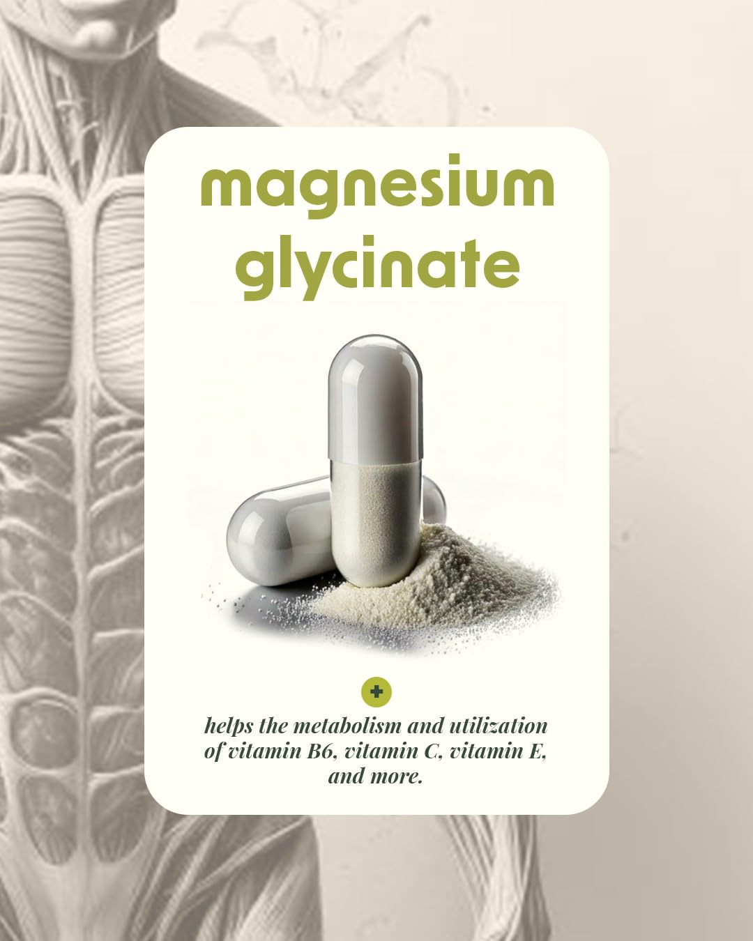 Alpha & Omega Nutrition Magnesium Glycinate 400mg Tablet, 1 Tablet