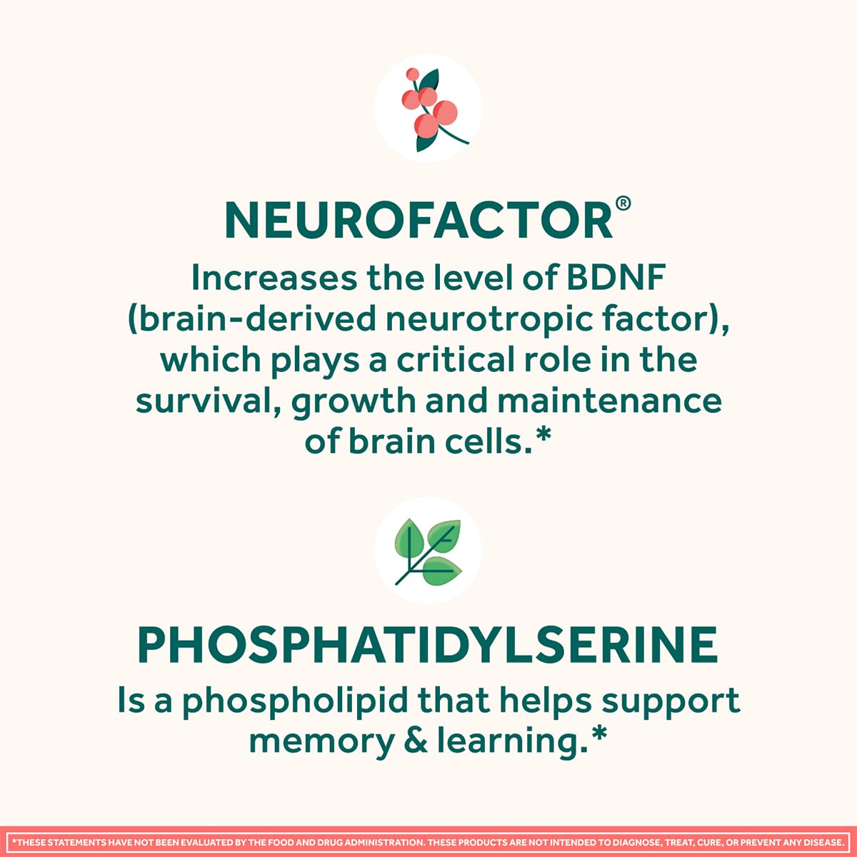 Neuriva Original Brain Supplement for Memory, Focus & Concentration + Learning & Accuracy with Clinically Tested Nootropics Phosphatidylserine and Neurofactor, Capsule, 90 Count
