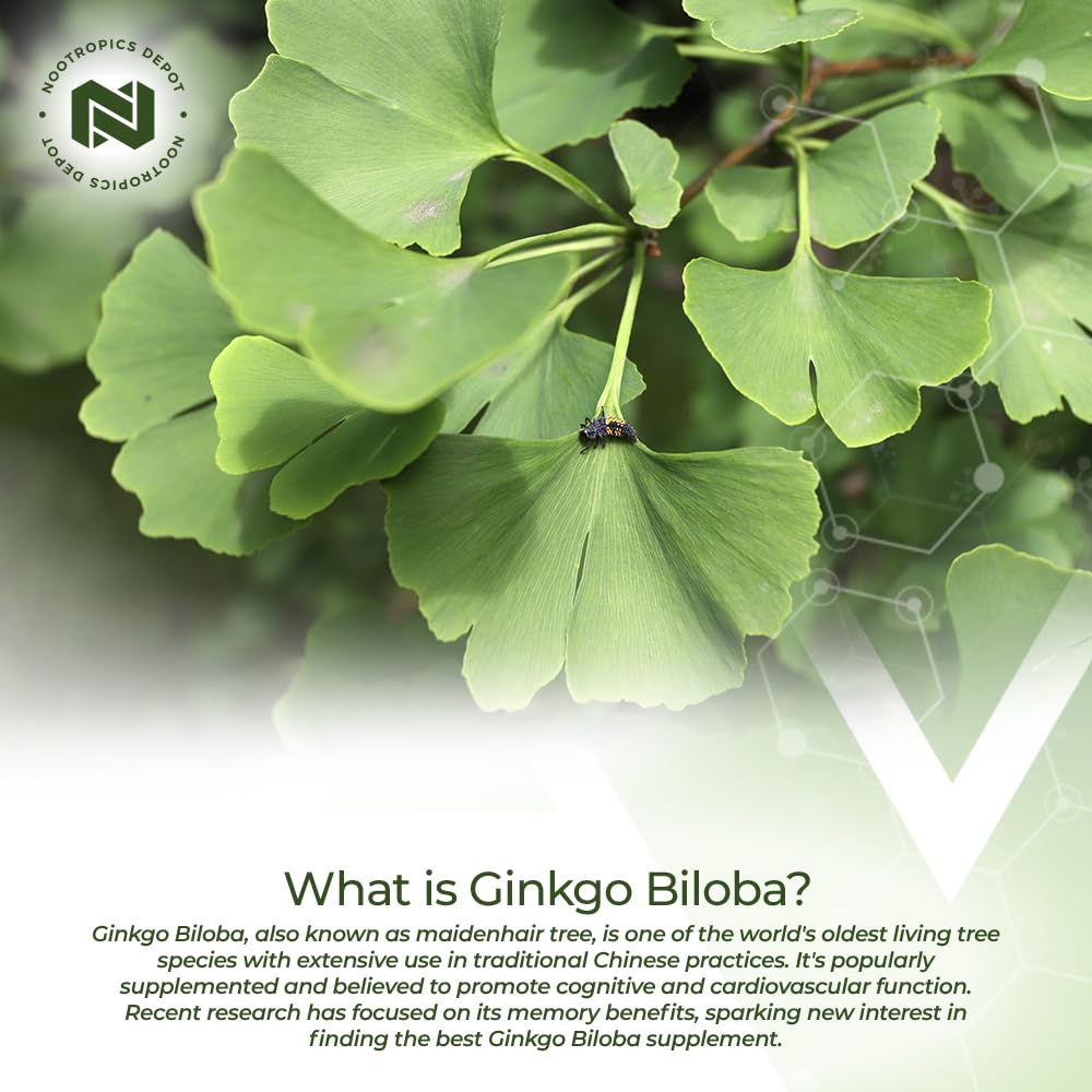 Nootropics Depot Ginkgo Biloba Extract Tablets 90 Count