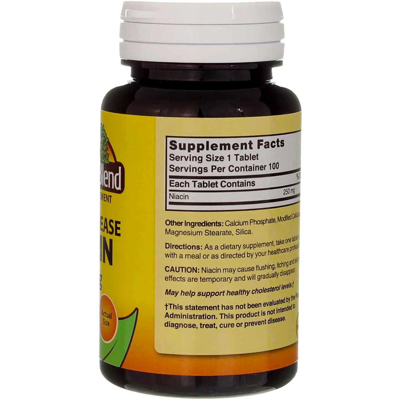 Nature's Blend Niacin Timed Release 250 mg Tablet, 100 Count