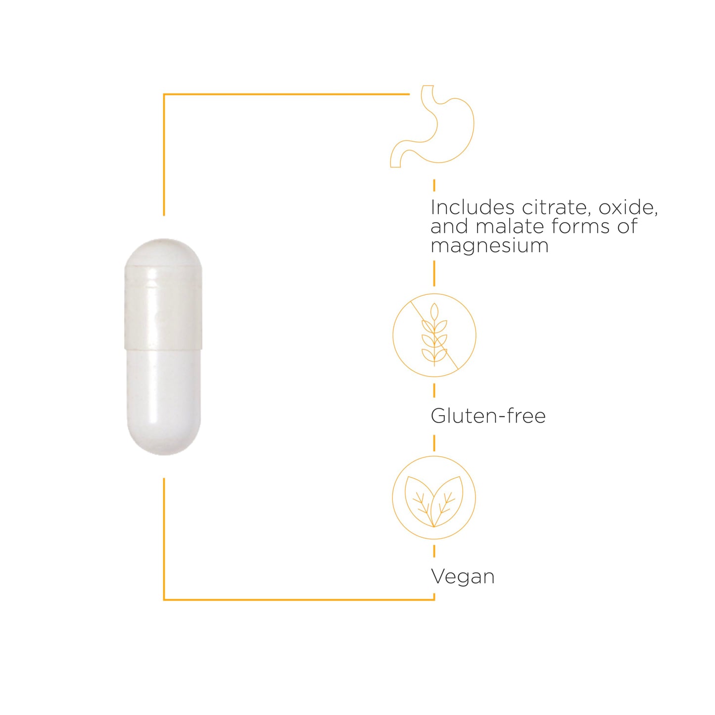 Integrative Therapeutics Tri-Magnesium Capsules & Vitamin D3 125 mcg Chewables Bundle, 180