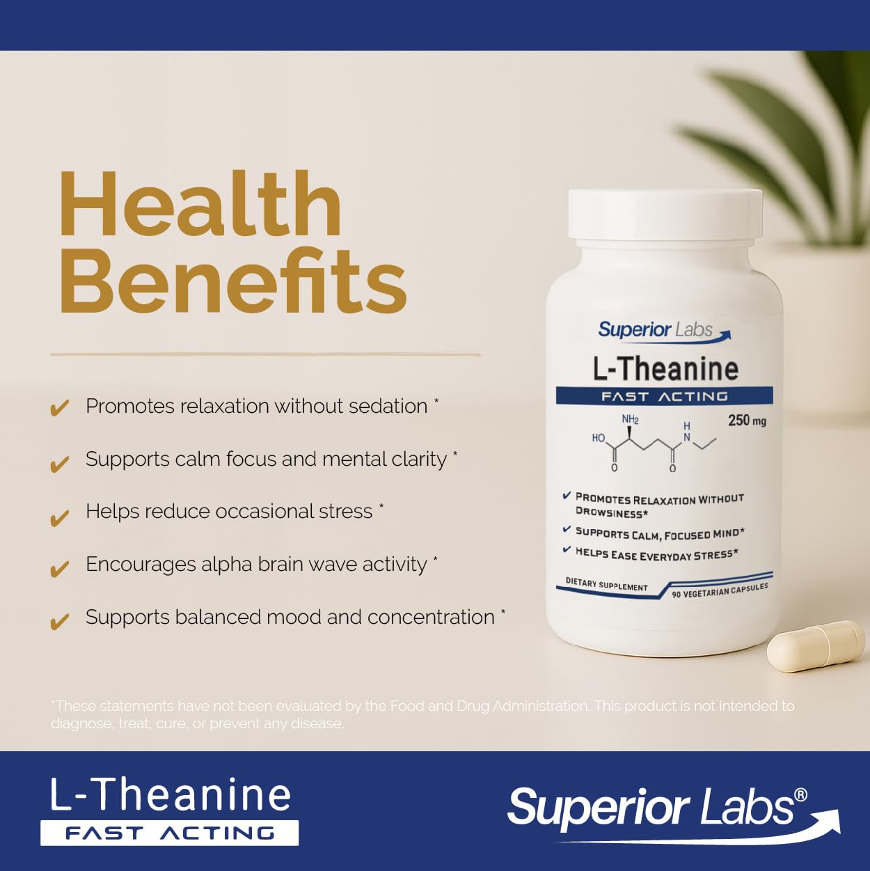Superior Labs L-Theanine 250 mg Capsules, 90 Veg Caps