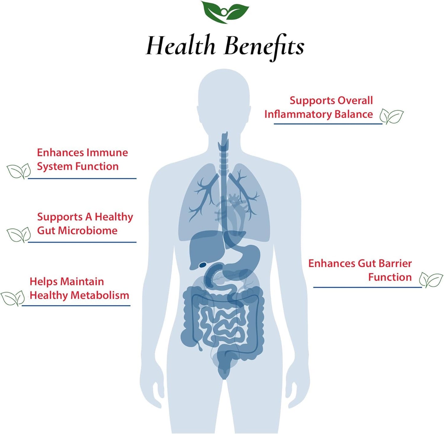 Foods For Gut Akkermansia Muciniphila Powder 1 Billion AFU/g, 3.52