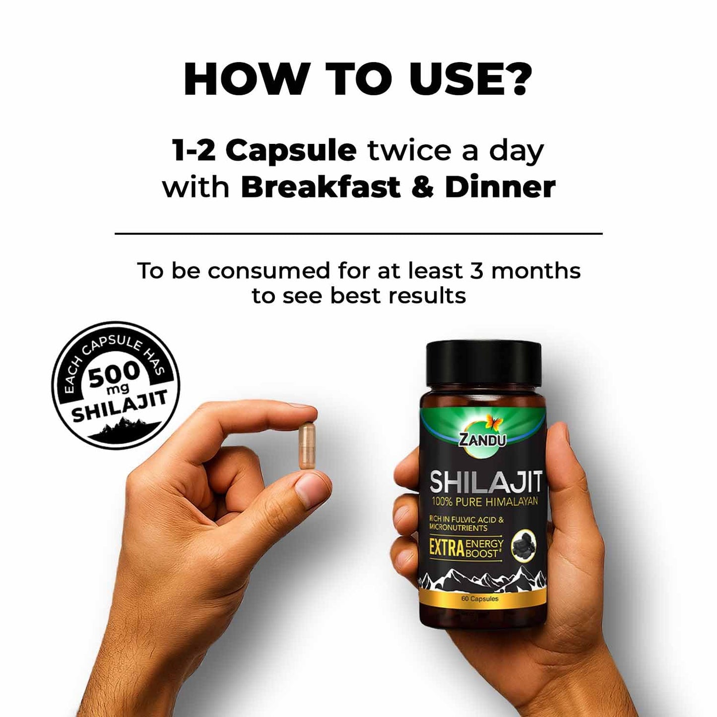 Zandu Shilajit Capsules 1 Count